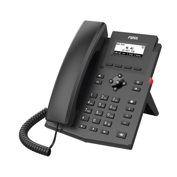 Teléfono IP empresarial X301P