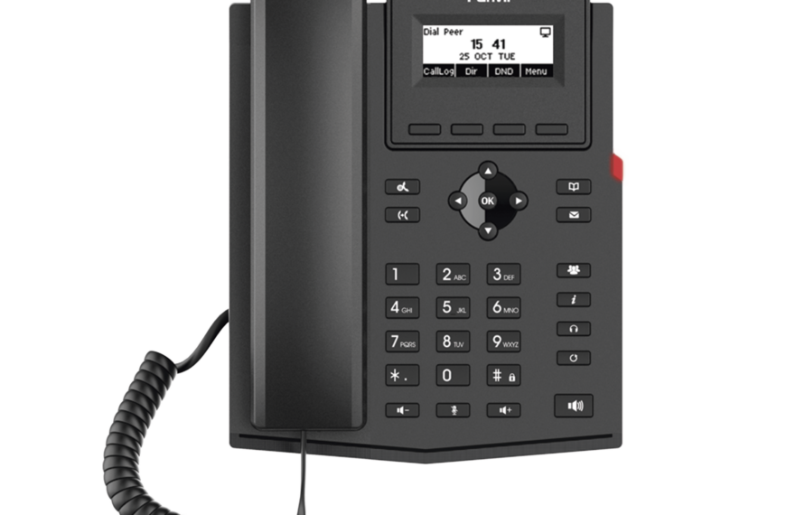 Teléfono IP empresarial X301P